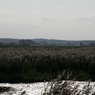 KU5Y6716