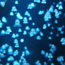 クラゲタリウム