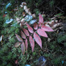 20131013s