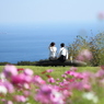 fall in love & sea
