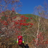 白山へ行ってきました。