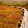 201310_joudo_04