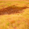 201310_joudo_05