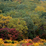 201310_joudo_10