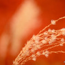 201310_joudo_11