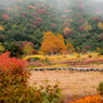 201310_joudo_12