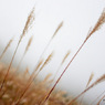 201310_joudo_14