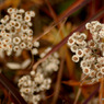 201310_joudo_15