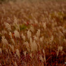 201310_joudo_16
