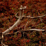 201310_joudo_18