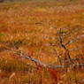 201310_joudo_20