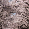坂を上れば