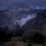 霧雨の里山