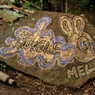 JUNGLE MEL
