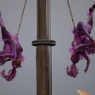 P1010404