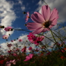 photo_2858514