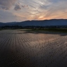 夕暮れに染まる