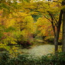月山・地蔵池-１ 10/23