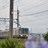 223系