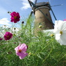 photo_2862235