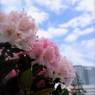 しっとり