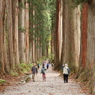 戸隠神社奥社参道