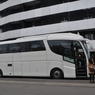 DSbm1