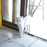 カフェ