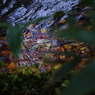 紅葉の奥入瀬渓流 43