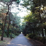 葛西臨海公園２０１３_２9