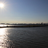 葛西臨海公園２０１３_２15