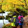 紅葉の奥入瀬渓流 64