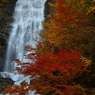 唐沢の滝２０１３