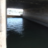 PA040012