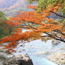 弁天島