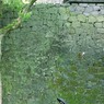 積碑