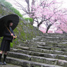 紅雨