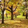 札幌　中島公園　３