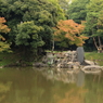 秋景1