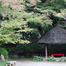 秋景12