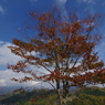 空と雲と風と紅葉