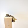 リラックスネコ