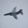 入間航空祭0012 R