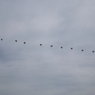 入間航空祭0029 R