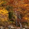 照葉峡の秋