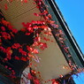 紅色の出迎え
