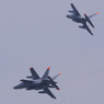 【入間航空祭2013】コンバット・タッチダウン