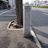 紀州街道