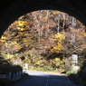 トンネルからの紅葉