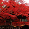 2013　秋の日光2